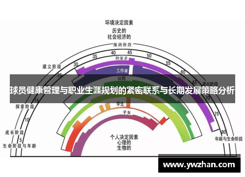 球员健康管理与职业生涯规划的紧密联系与长期发展策略分析