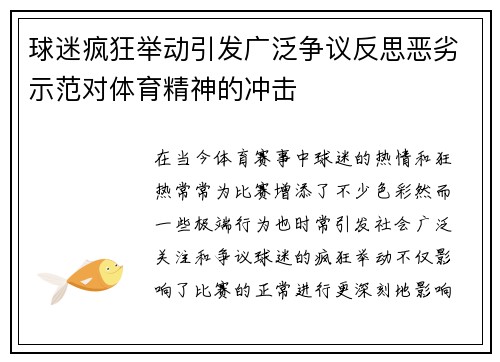 球迷疯狂举动引发广泛争议反思恶劣示范对体育精神的冲击