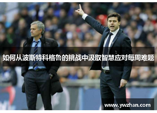 如何从波斯特科格鲁的挑战中汲取智慧应对每周难题